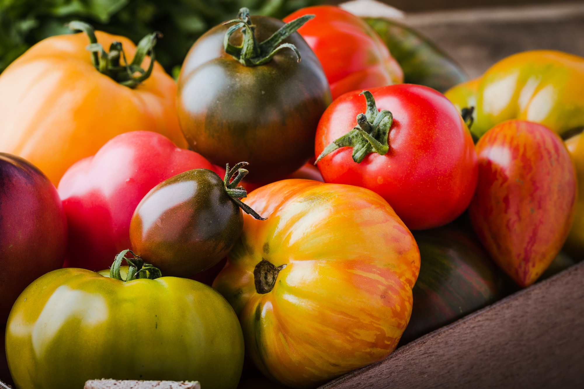 La tomate, le légume-fruit le plus célèbre de France !